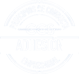 Logo CSS2